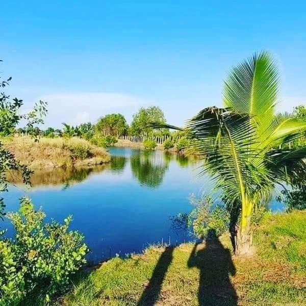 Salt Field Glamping Hotel Kampot Buitenkant foto