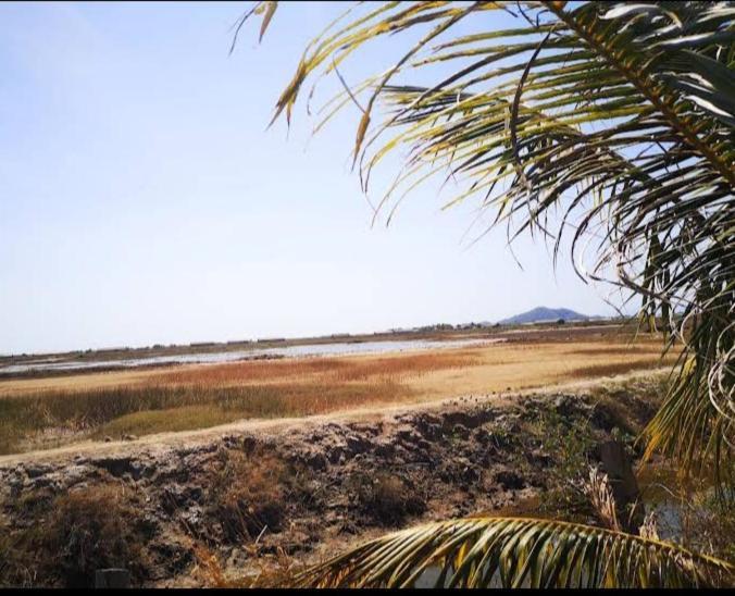 Salt Field Glamping Hotel Kampot Buitenkant foto
